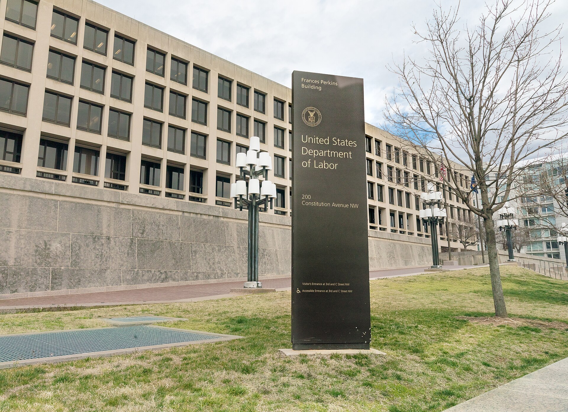 Microsoft and Adobe Just Got Hit by a Green Card Suspension
